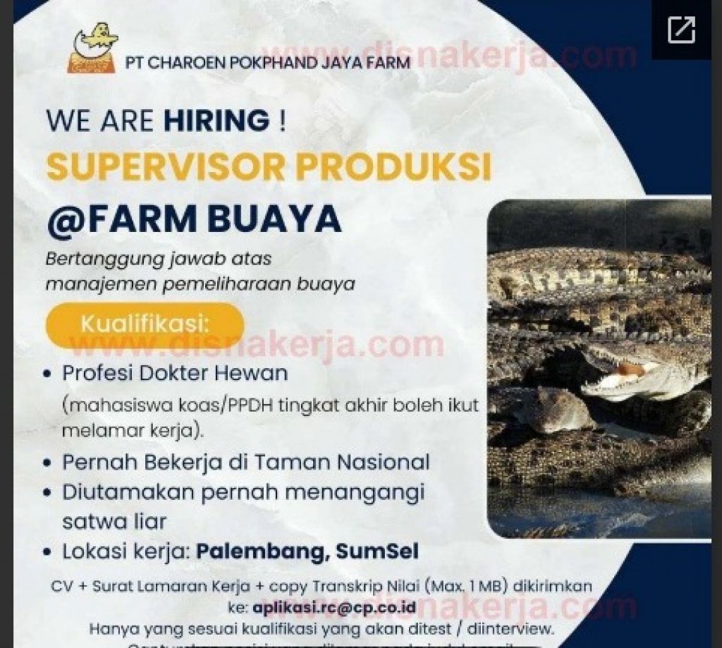 Lowongan kerja di PT Charoen Pokphand Jaya Farm